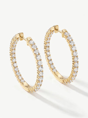 Gult-Gull